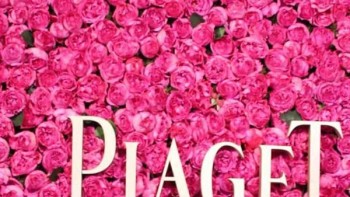 Rose Day - Piaget