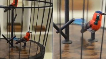 Video. Ballon Bird Cage - Reuge
