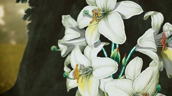 Video. Métiers d'Art Florilège - Vacheron Constantin