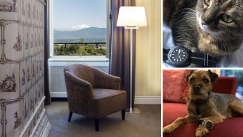A Luxurious Setting for Talented Photographers - Watch Photo Awards