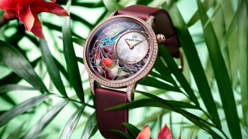 Petite Heure Minute "Smalta Clara Hummingbird" - Jaquet Droz