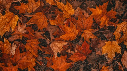 Octobre