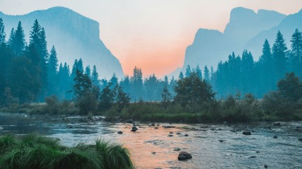 Oris Sustainability Report ©baileyzindel unsplash