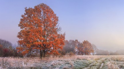 Autumn Landscape © VIVA