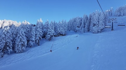 Skiing © Bernard Hermant/Unsplash