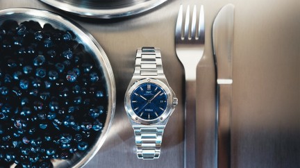 IWC Ingenieur Residency CP 83072