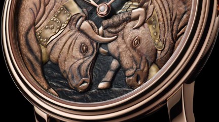 Cow fight at the Villeret corral - Blancpain