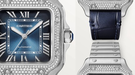 Flurry of Diamonds - Cartier