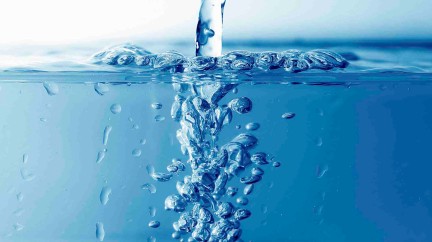 Commendable marketing  - Watch brands and water
