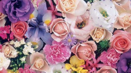 Fresh as a daisy - Ladies’ watches