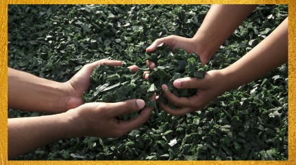 Rubber: worth its weight in gold? - Straps