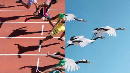 Five of the Finest Olympic Moments… - Omega