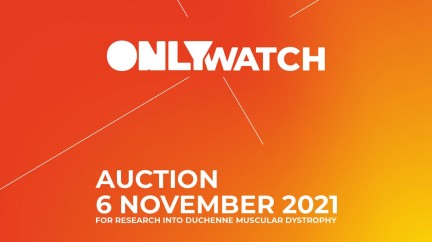 In His Own Words: Luc Pettavino Opens Only Watch 2021 - Only Watch 2021