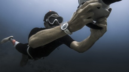 Diver Chronograph Great White  - Ulysse Nardin
