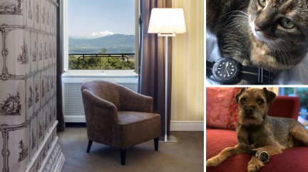 A Luxurious Setting for Talented Photographers - Watch Photo Awards