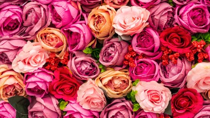 Love is in the Air - Valentine's Day