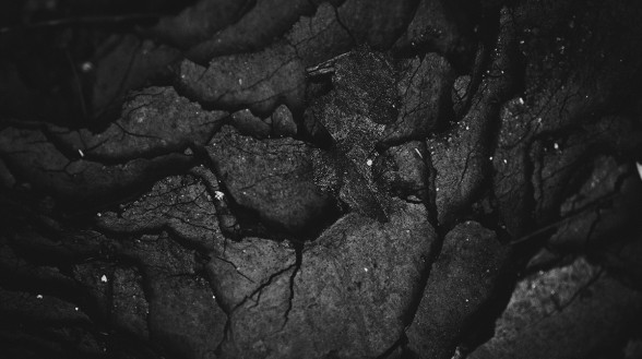 Carbon