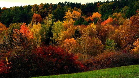 Fall © Pixabay