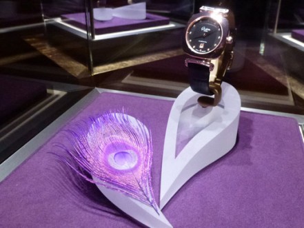 Strutting their Stuff - Glashütte Original