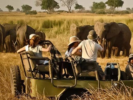 Safari Spirit - Getaway