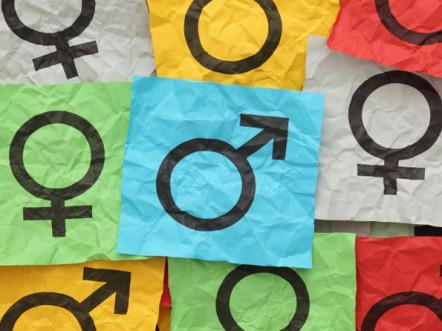 Women stake their claim on previously male territory - Lady