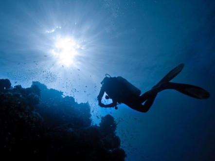 Return from the deep - Dive watches
