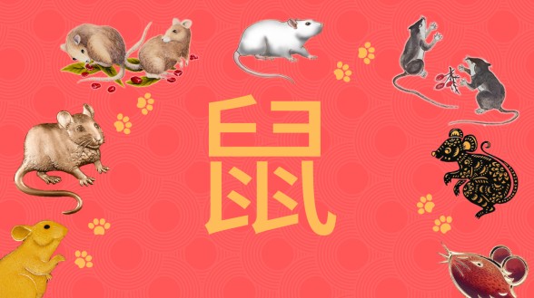 Your Kind of New Year Watch - Chinese New Year