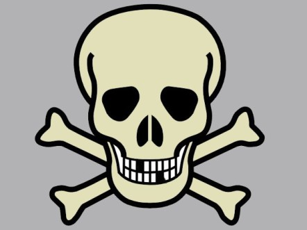 Head-turning, headstrong skull watches - Skulls