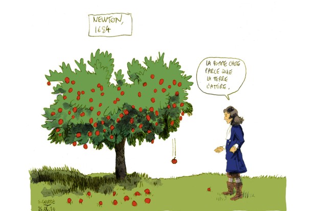 Newton © S. Cnudde
