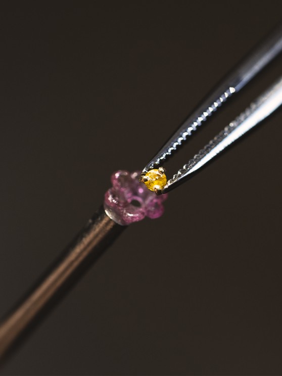 Lady Arpels Jour Enchante © Van Cleef & Arpels