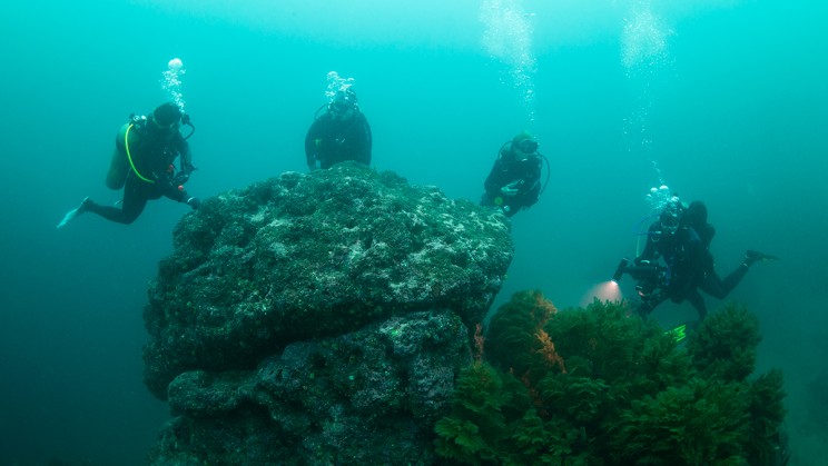 Four divers during the Ecuador Manta Expedition 2023 ©&nbsp;Manta Trust Foundation 