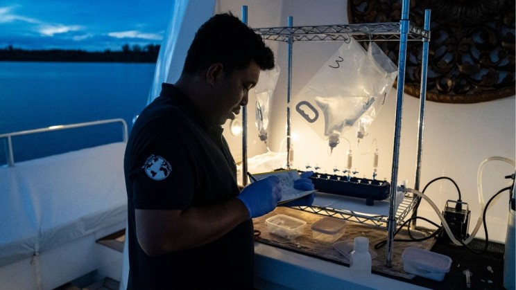 UNSEEN Expeditions © Alexis Chappuis