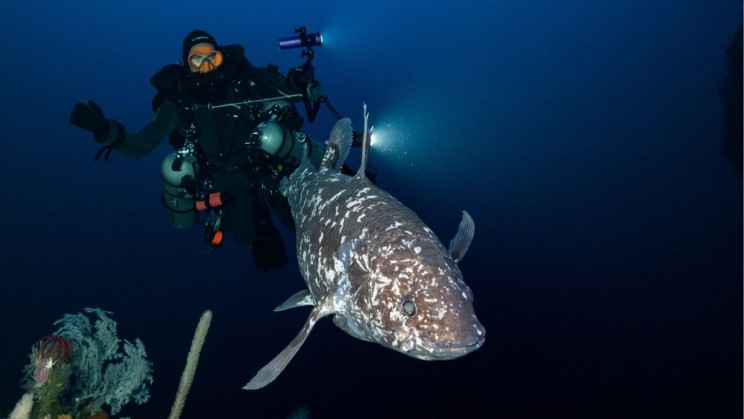 UNSEEN Expeditions ©Alexis Chappuis