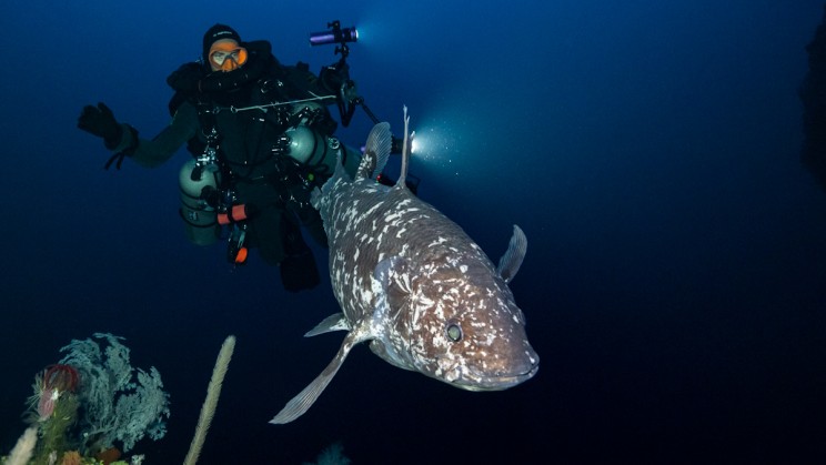 Les explorateurs sponsorisés par Blancpain © Blancpain