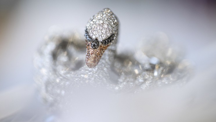 La Swan Lake © Chopard
