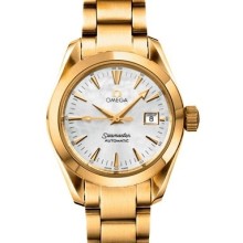 Aqua Terra Automatic