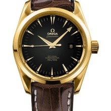 Aqua Terra Mid Size Chronometer