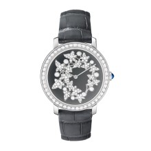 Lierre de Paris