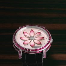 Amazone Luckee Lotus