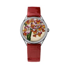Florilège - Montre Renealmia